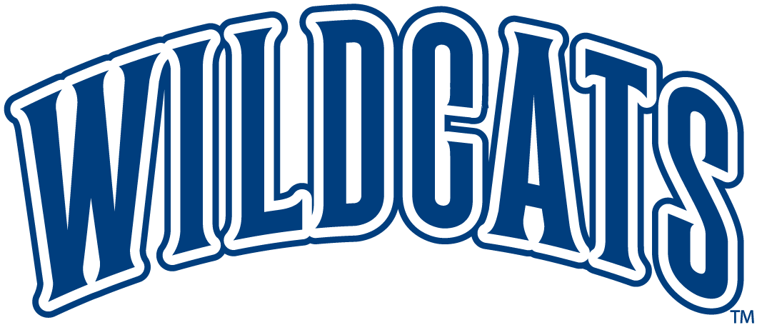 Villanova Wildcats 1996-Pres Wordmark Logo diy fabric transfer
